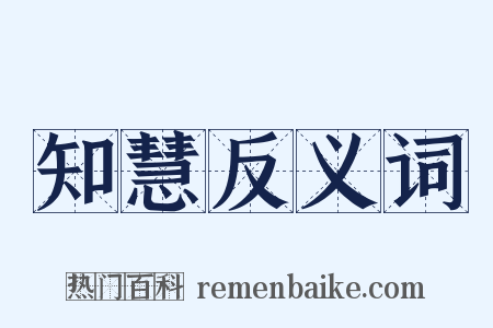 知慧反义词是什么意思的图片